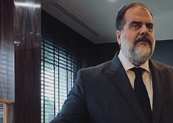 Contships eyes ‘robust’ feeder market